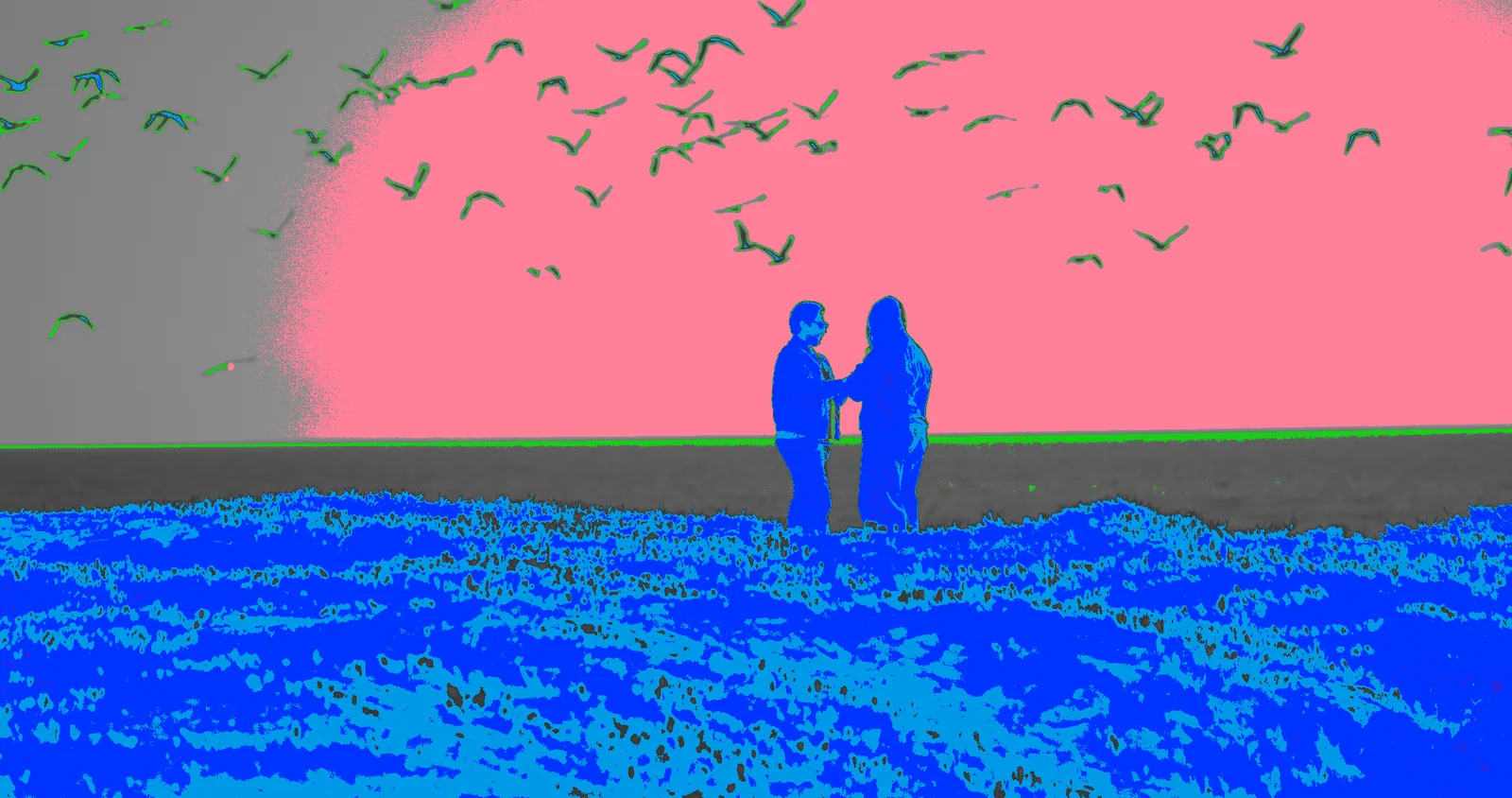 Two silhouettes on a bluff under gulls, in the exposure heatmap.